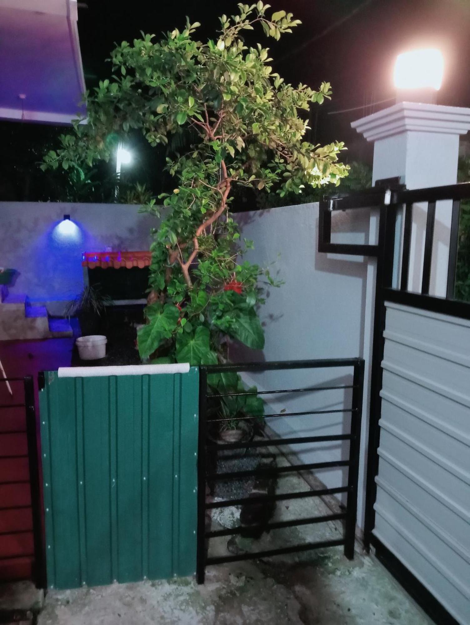 Great Yeheni Villa Хиккадува Экстерьер фото